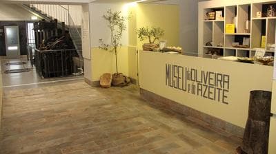 Museu da Oliveira e do Azeite